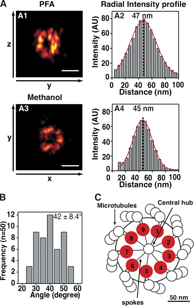 Figure 6.