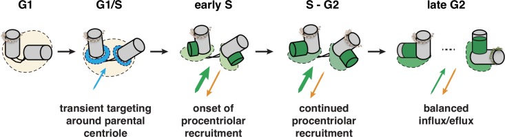 Figure 7.