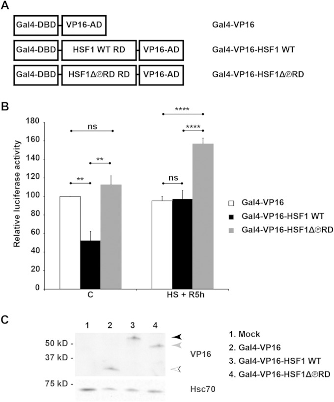 FIG 6