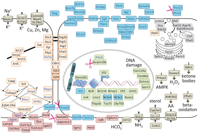 Figure 6