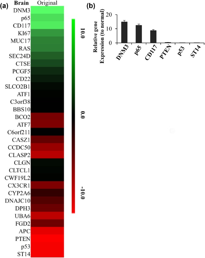 Figure 2.