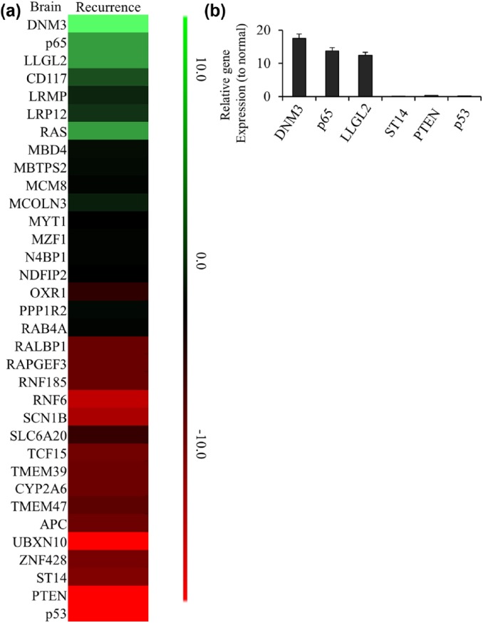 Figure 4.