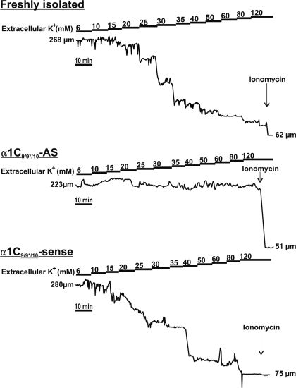 Fig. 5.