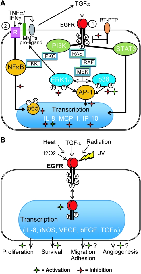 FIG. 10.