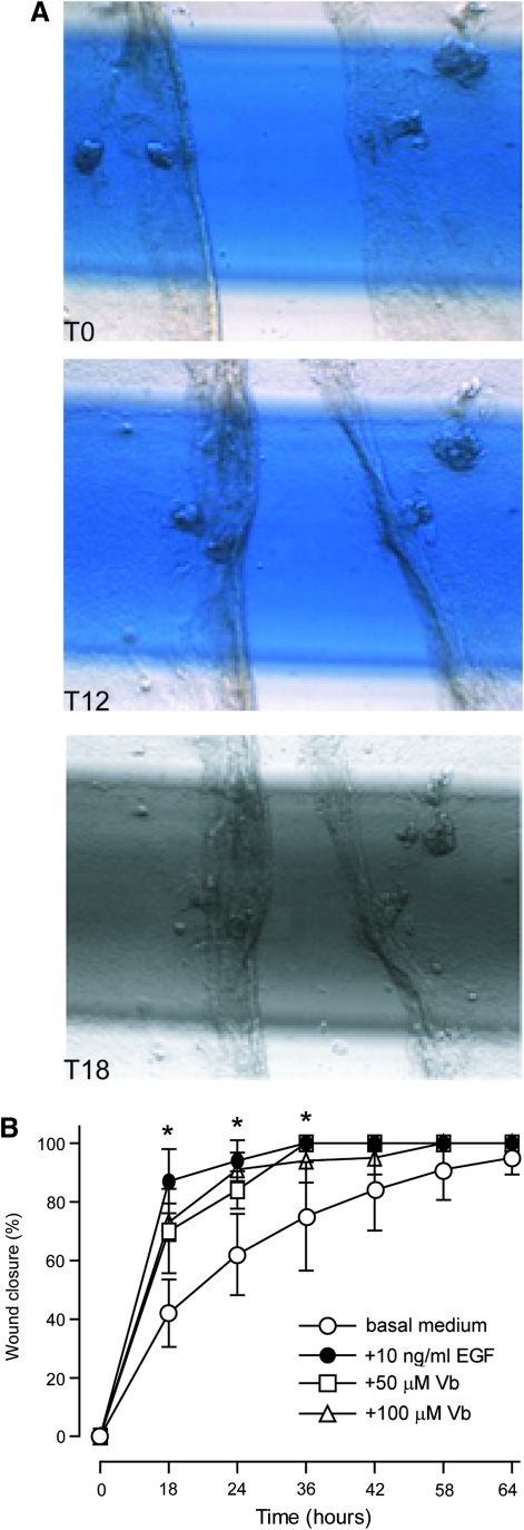 FIG. 8.