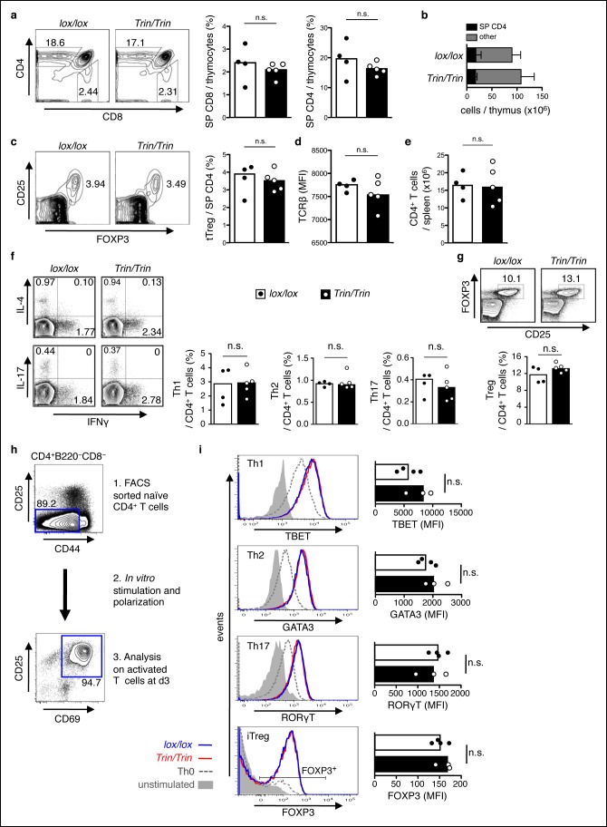 Figure 1—figure supplement 2.