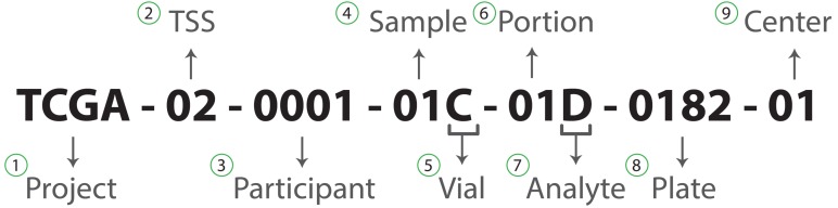 Fig. (1)