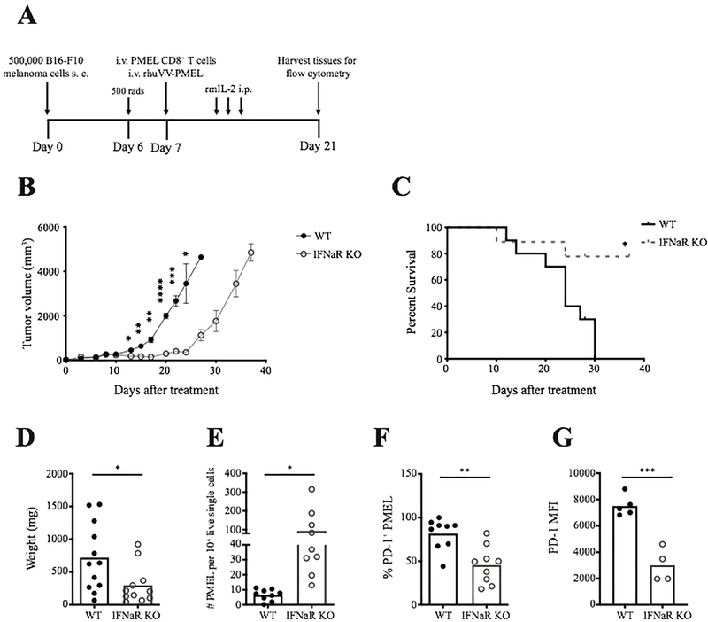 Figure 6: