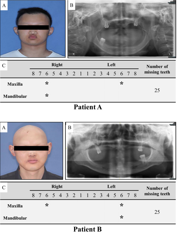 FIGURE 1