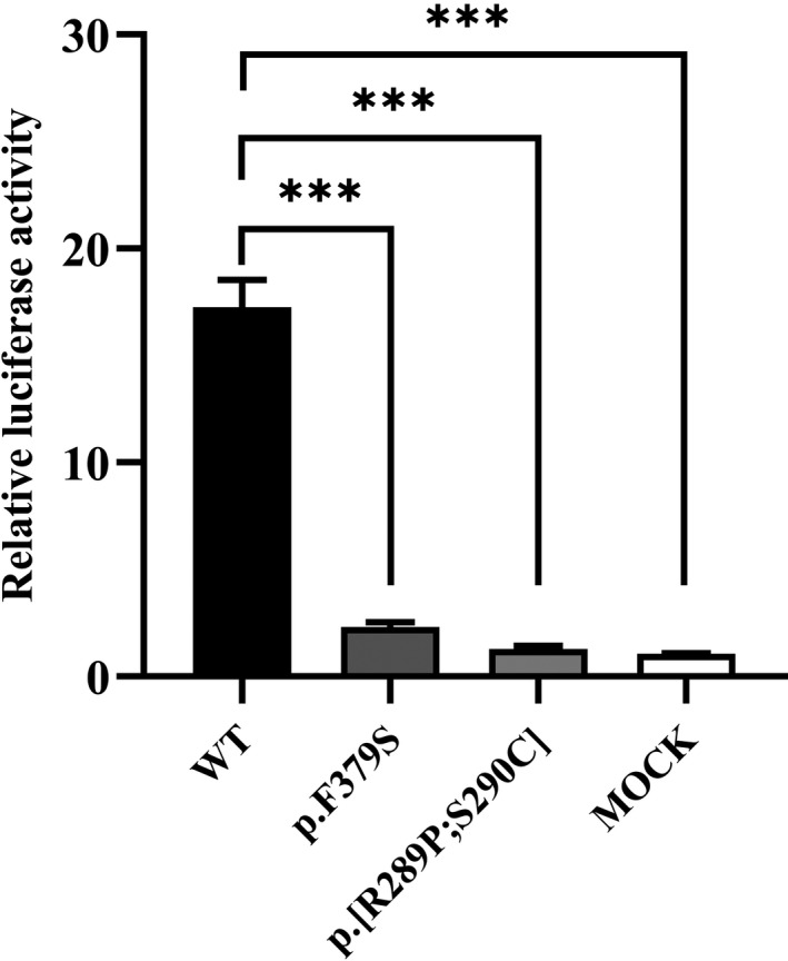 FIGURE 5