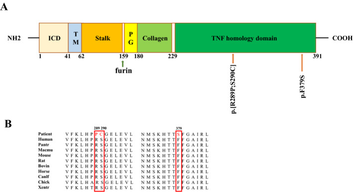 FIGURE 3