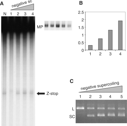 Figure 4.