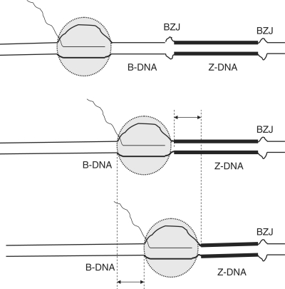 Figure 7.