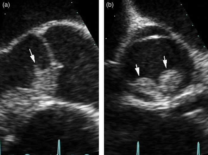 Figure 1: