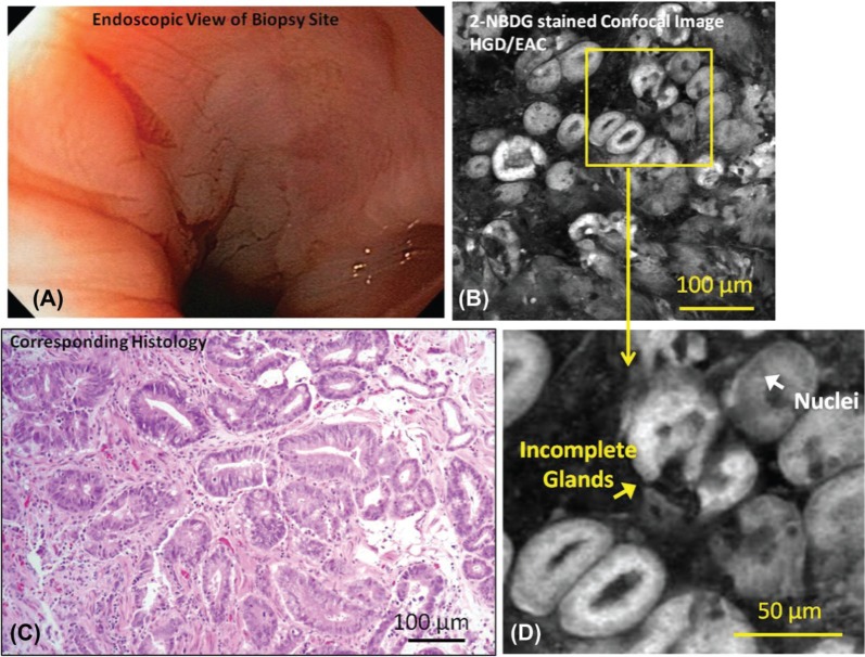 Figure 2: