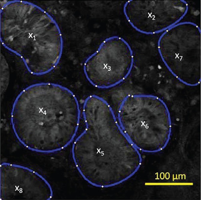 Figure 5: