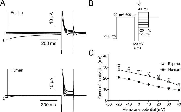 Fig 5