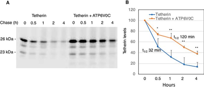 Figure 5.