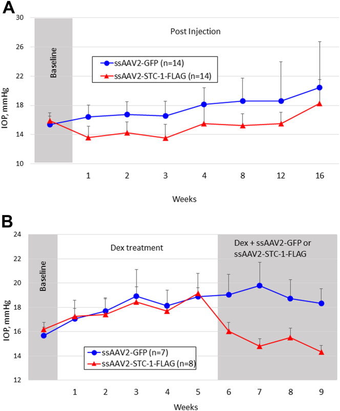 Figure 2