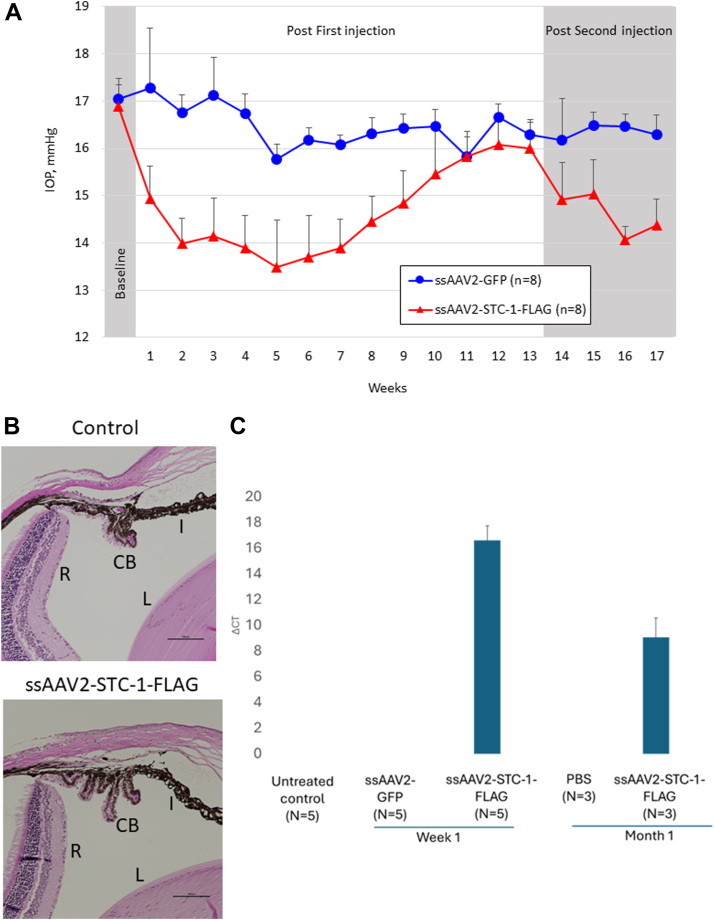 Figure 1