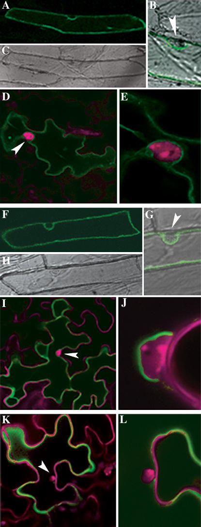 Figure 3.