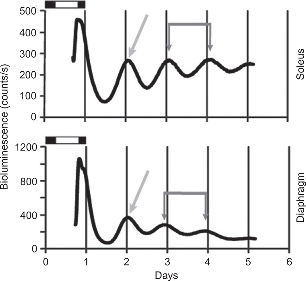 Figure 9.1