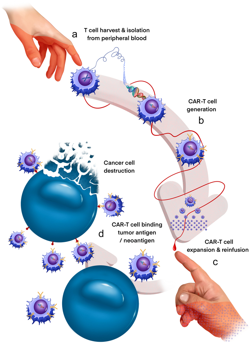 Figure 2.