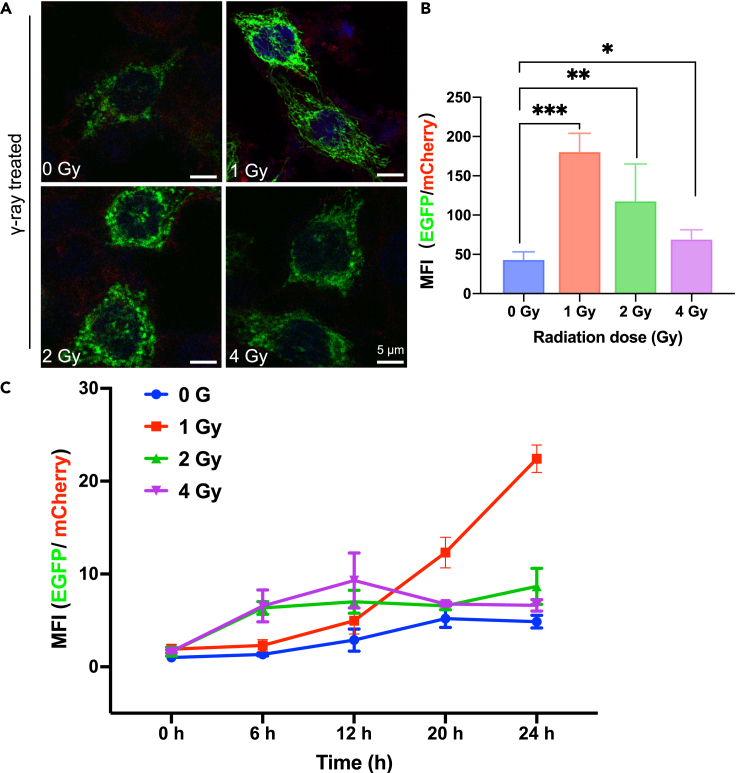 Figure 3