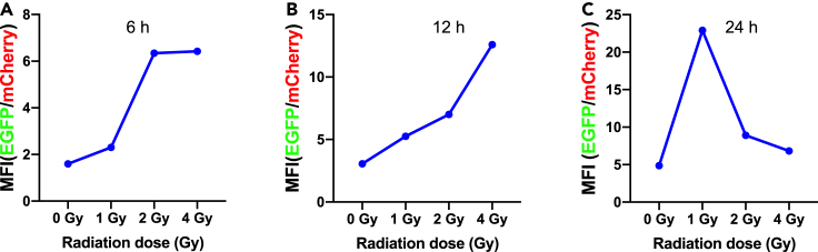 Figure 13