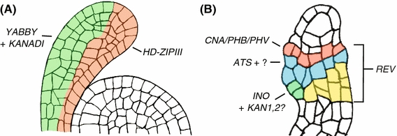 Fig. 1