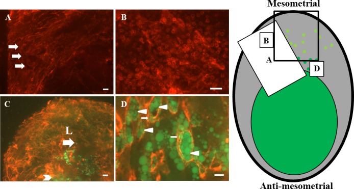 FIG. 7