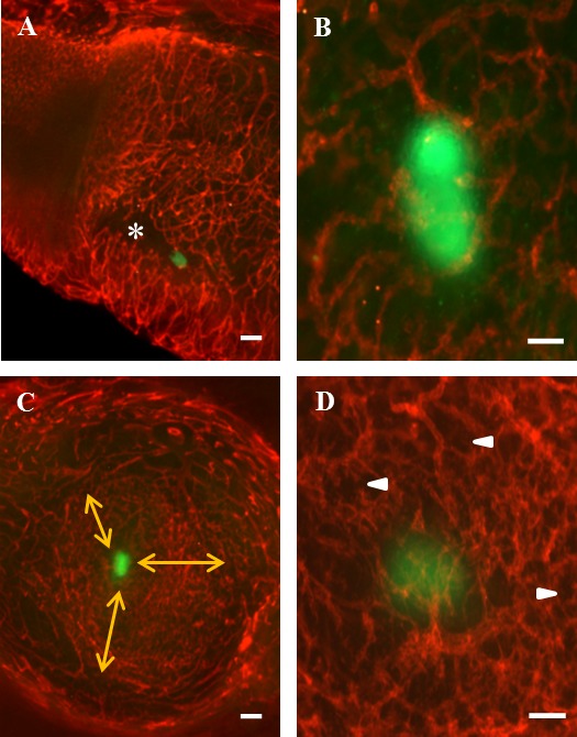 FIG. 3