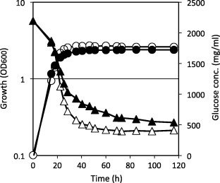 Fig. 5