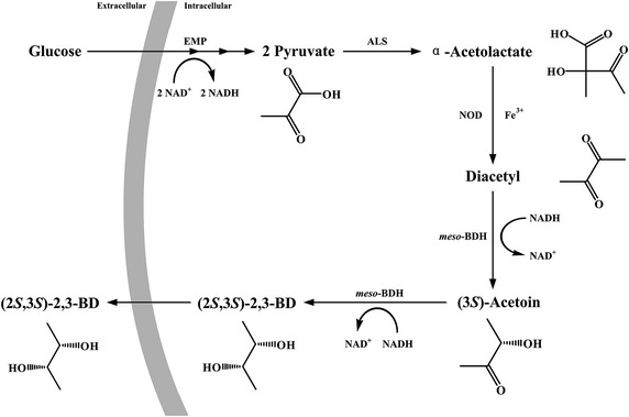 Fig. 1