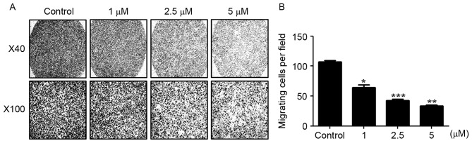 Figure 5.