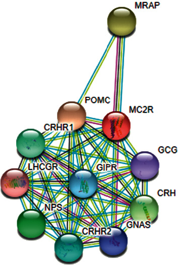 Figure 5