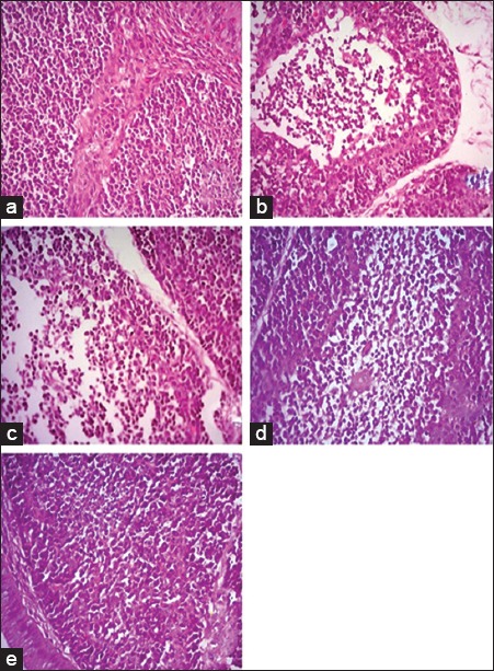 Figure-3