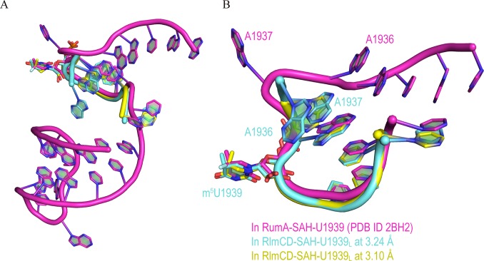 Fig 5