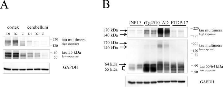 Figure 11.