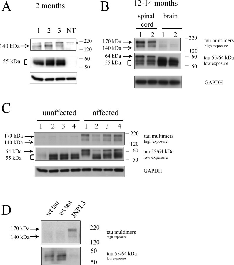 Figure 10.