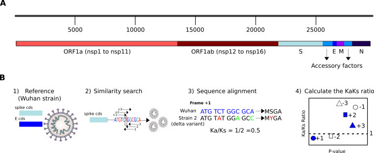 Fig 1