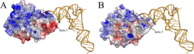 Fig. S6.