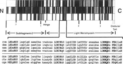 graphic file with name pnas01041-0320-a.jpg