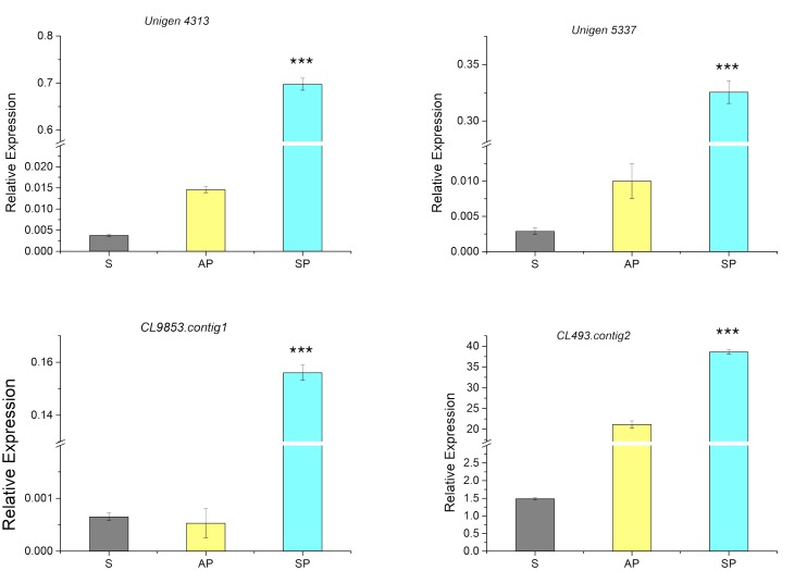 FIGURE 4