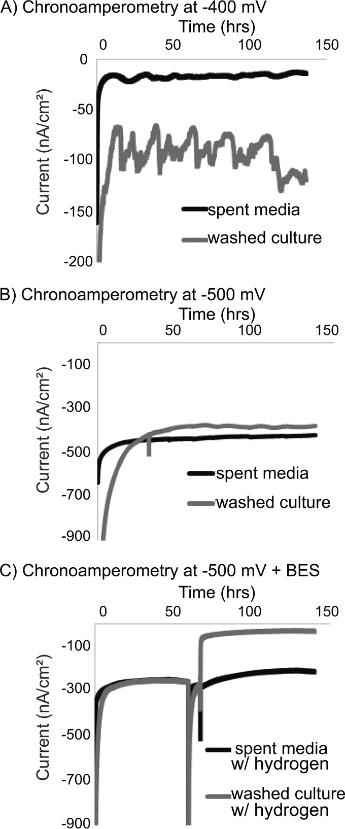 FIG 3