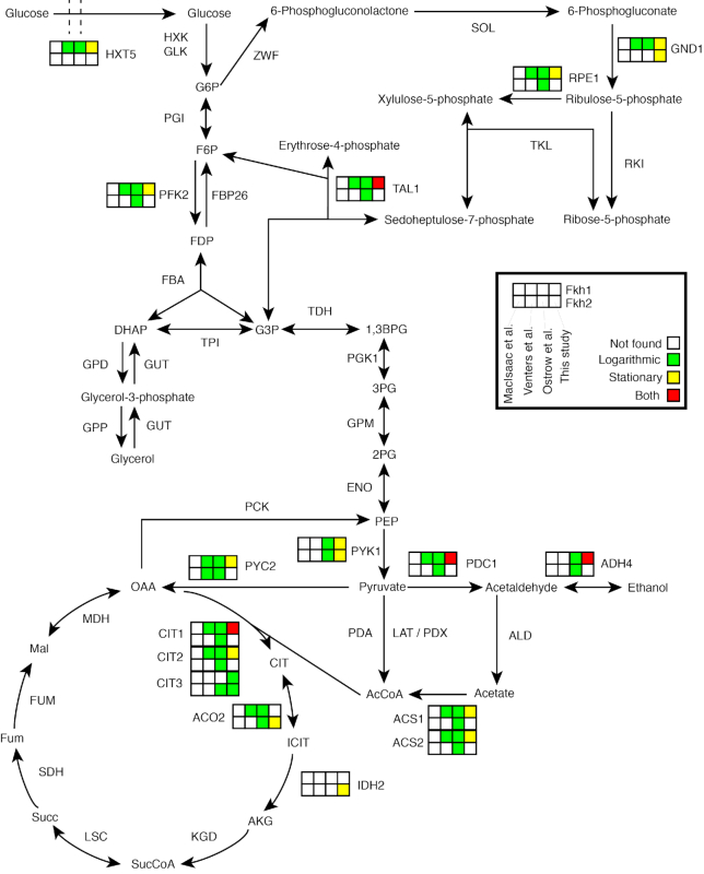 Figure 7.