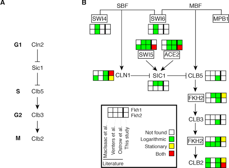 Figure 9.