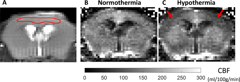 Figure 2: