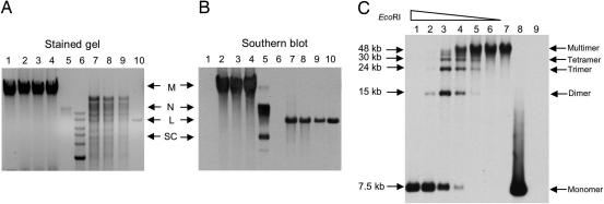 Fig. 2.