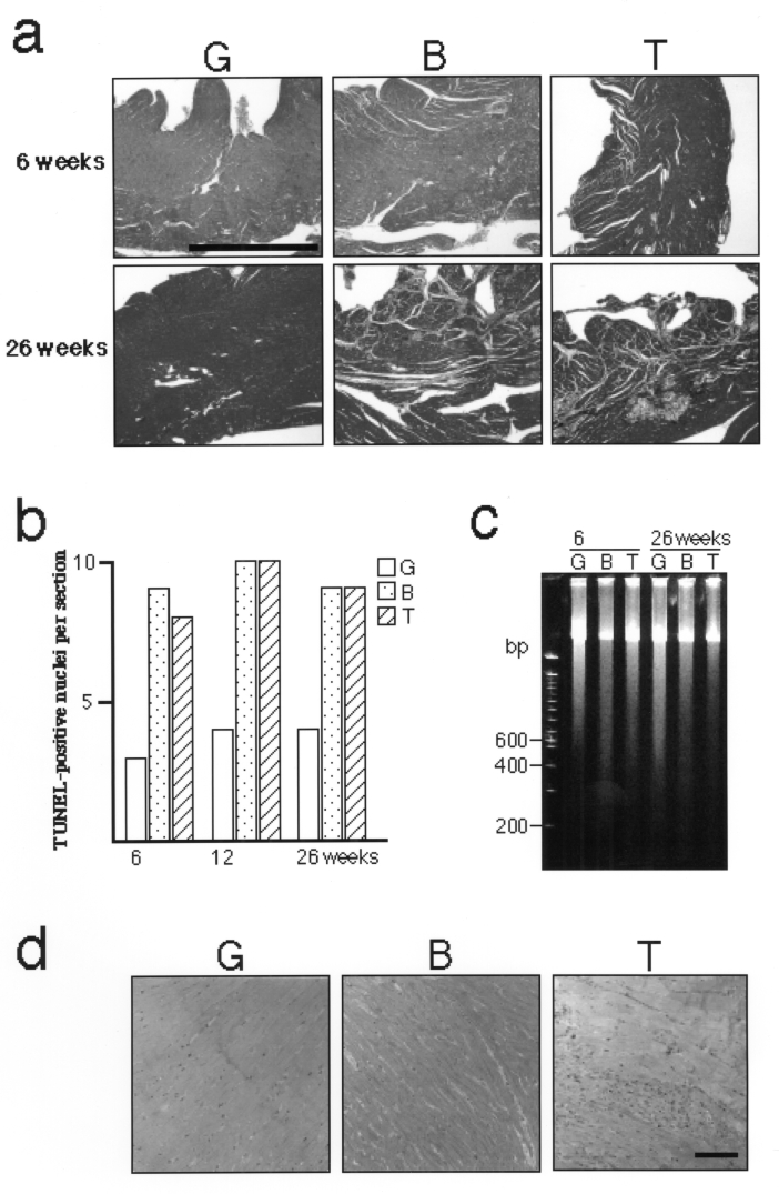 Figure 2)